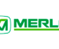 merlo